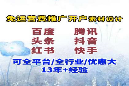 XX领域竞价广告的投放策略及效果展示