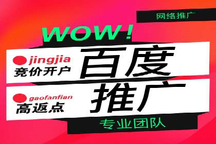 百度竞价案例：品牌推广实战