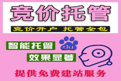解析SEM投放策略：从经典案例看效果